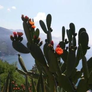 Фотографии гостиницы
Albergo Suisse Bellevue