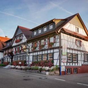 Фотографии гостиницы 
            Hotel Restaurant Der Engel, Sasbachwalden