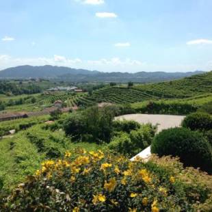 Фотографии базы отдыха
Agriturismo Vedova