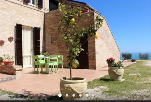 Фотография мини отеля La Collina sul Mare