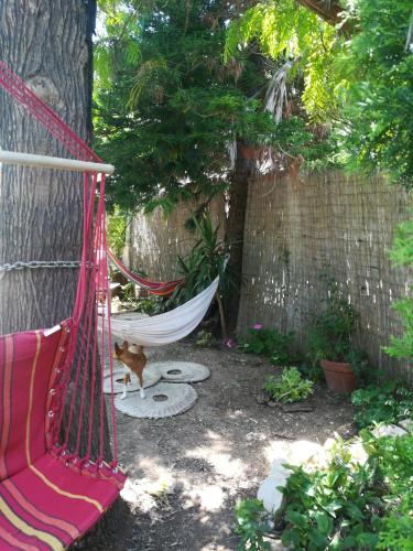 Фотография гостевого дома Secret Garden