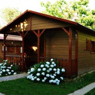 Фотографии кемпинга
Camping Al-Bereka