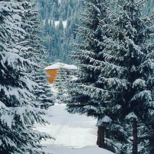 Фотографии гостевого дома 
            Resort Skrivena