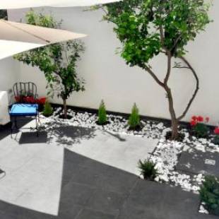 Фотографии мини отеля
Lemon Tree