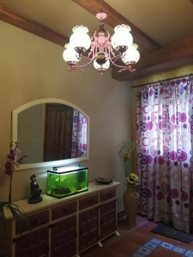 Фотография гостевого дома Guest House Casa Tacoronte