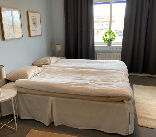 Фотография хостела De la Gardie Park Vandrarhem Hostel