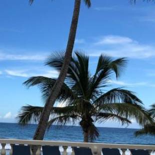 Фотография мини отеля Casa Isleña