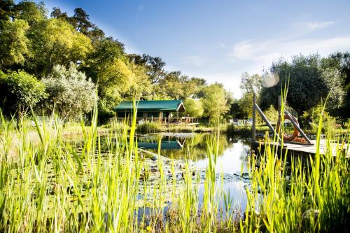 Фотография гостевого дома Figueirinha Ecoturismo