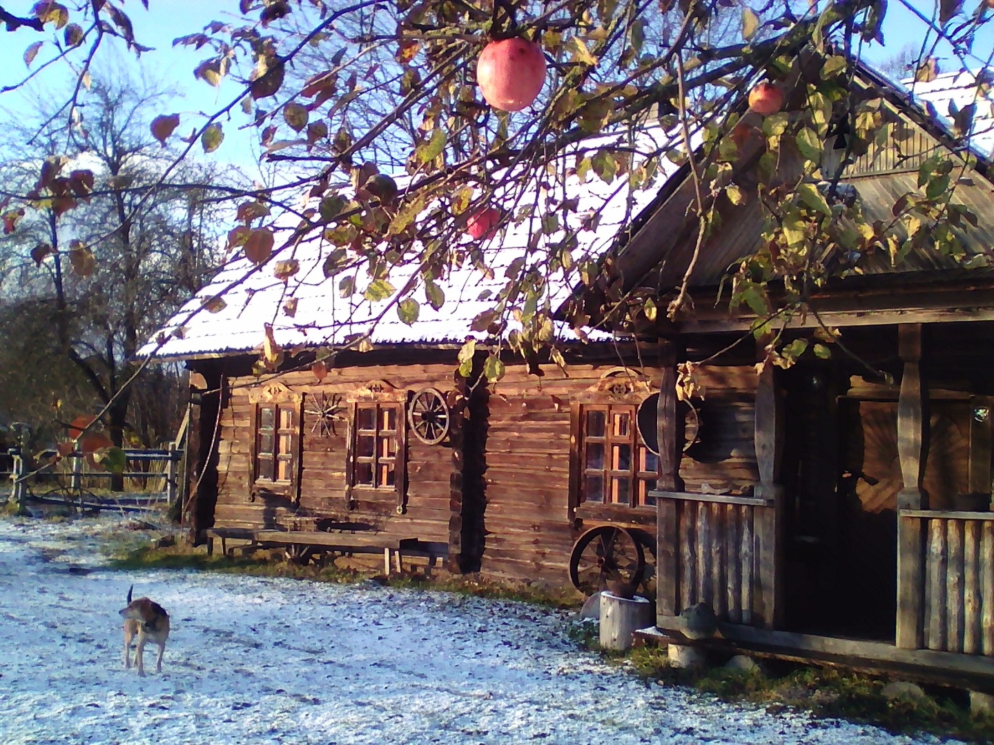 Фотография гостевого дома Усадьба Забродье