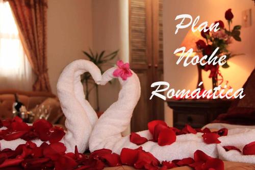 Фотография гостиницы Hotel Bahía Olivo Boutique & Spa