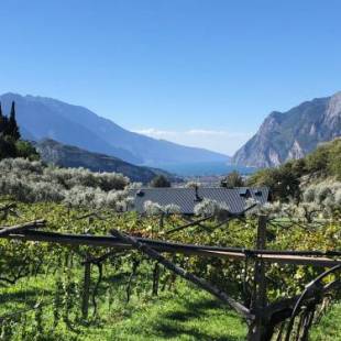 Фотографии мини отеля
Da La Babi B&B