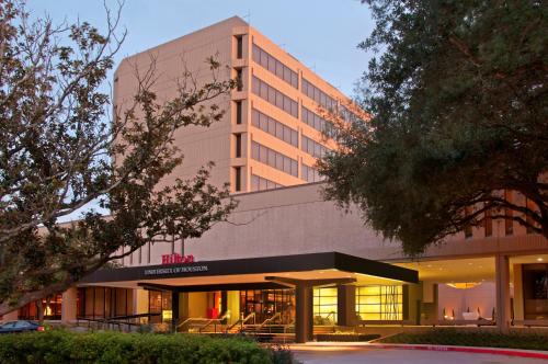 Фотография гостиницы Hilton University of Houston