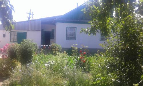 Фотография гостиницы Homestay at Elena's