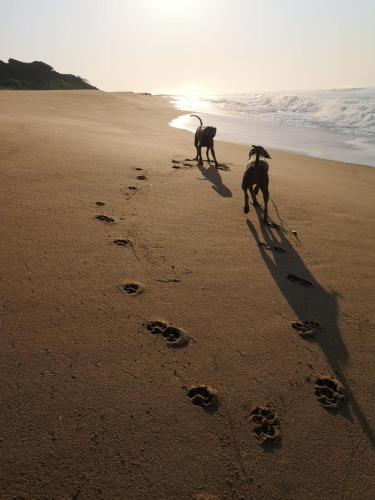 Фотография гостевого дома Mark's View