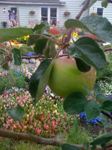 Фотография мини отеля Historic Skagway Inn
