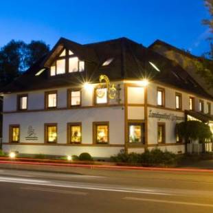 Фотографии гостиницы 
            Hotel Landgasthof Schwanen