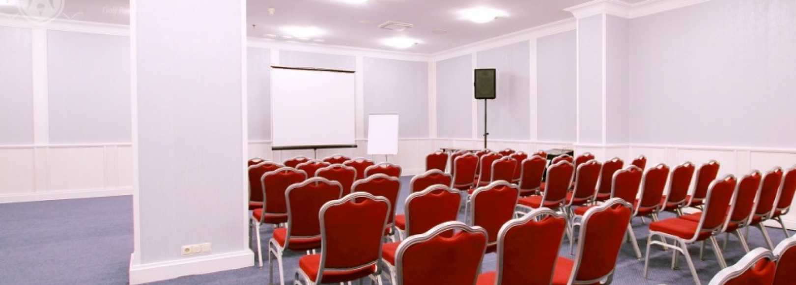 Фотография конференц-зала Лебединое озеро