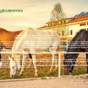 Фотографии гостиницы
Hotel Podkovata