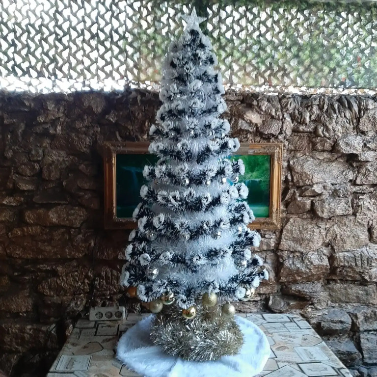 Фотография Коттеджа Частный дом Княжна Мери