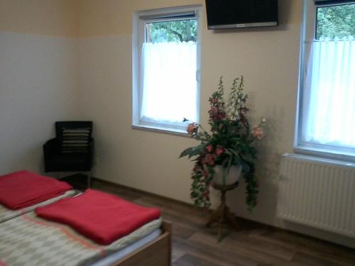 Фотография гостевого дома Pension Waldbad Dommitzsch