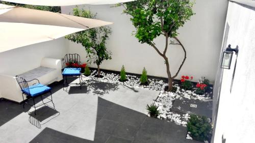 Фотография мини отеля Lemon Tree