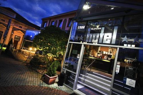 Фотография гостиницы Hotel Slovan