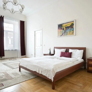 Фотография квартиры Апартаменты 1912 у Аничкова моста №2