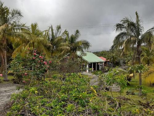 Фотография гостевого дома Maison de 2 chambres avec jardin amenage et wifi a Saint Benoit