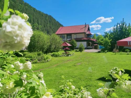 Фотография Коттеджа Меркурий Алтай