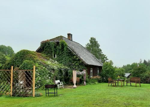 Фотография гостевого дома Mošķu Pirts meža māja