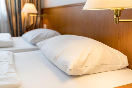 Фотография гостиницы Liebig-Hotel