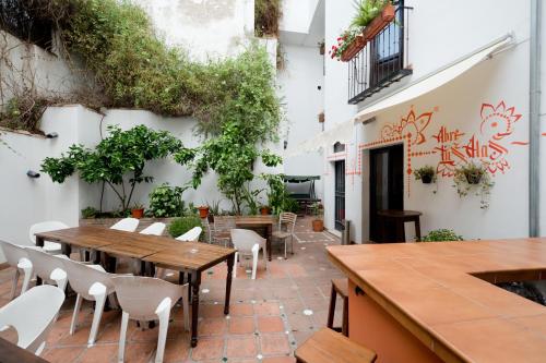 Фотография хостела Oasis Backpackers' Hostel Granada