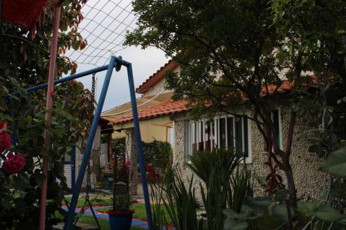 Фотография гостевого дома Olive tree villa