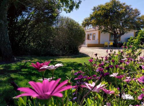 Фотографии гостевого дома 
            Casas das Amoreiras