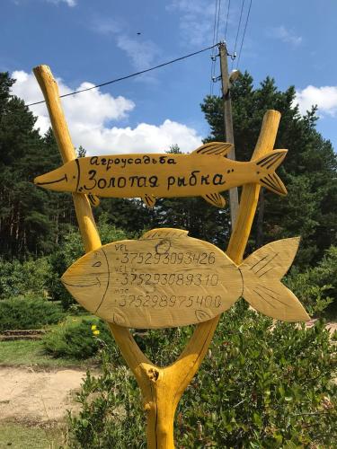 Фотографии гостевого дома 
            Усадьба Золотая Рыбка