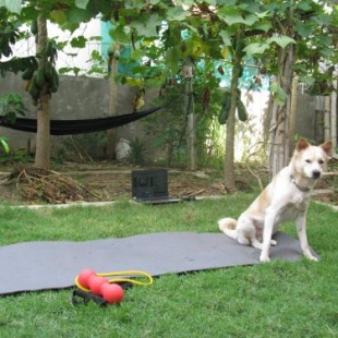 Фотография мини отеля KOL House