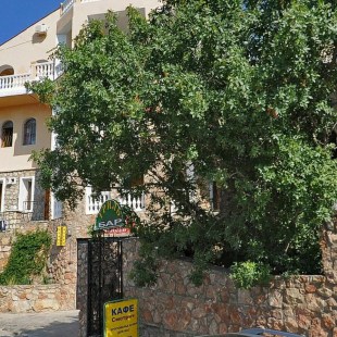 Фотография гостевого дома Смотрич