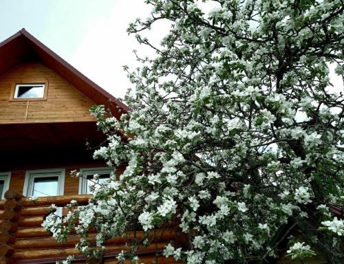 Фотография гостевого дома Старый город