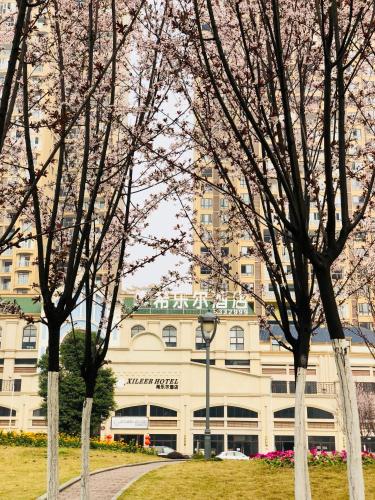 Фотография гостиницы Emei Mountain Xileer Hotel