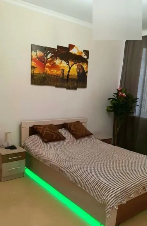 Фотография квартиры Квартира на Рогожникова 15