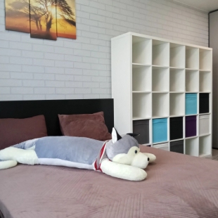 Фотография квартиры Апартаменты Сибирский уют