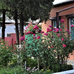 Фотография гостевого дома На Мира