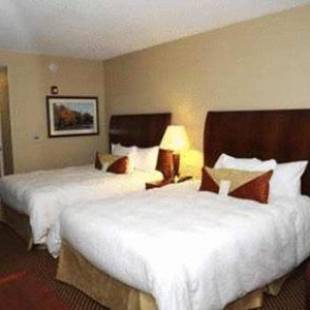 Фотографии гостиницы
Hilton Garden Inn Mystic/Groton