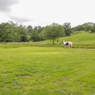 Фотографии гостевого дома
Bluebell