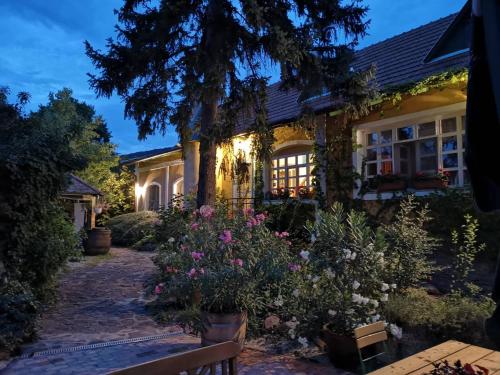 Фотография гостевого дома Villa-Magdi Vendégház