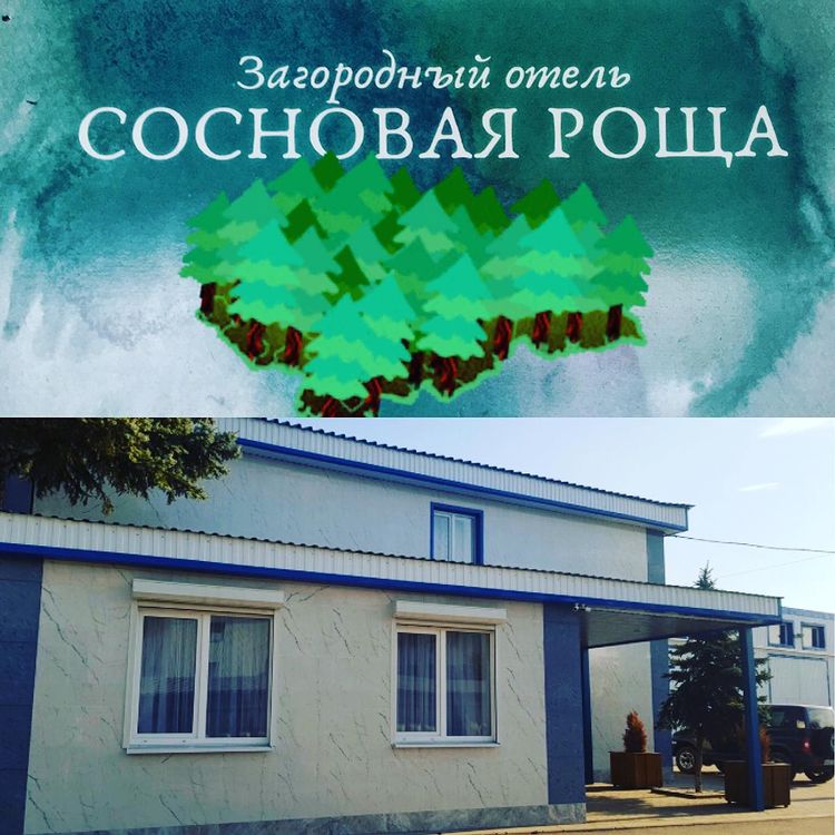 Фотография гостевого дома Сосновая роща