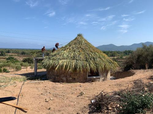 Фотография гостевого дома Agriturismo Dolceluna