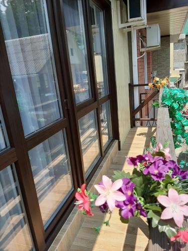 Фотография мини отеля Афина