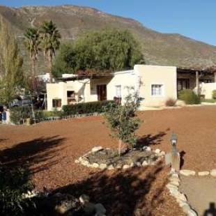 Фотографии гостевого дома 
            Yellow House Prince Albert