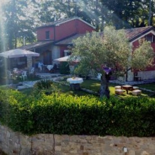 Фотография гостевого дома La terrazza sul Lago